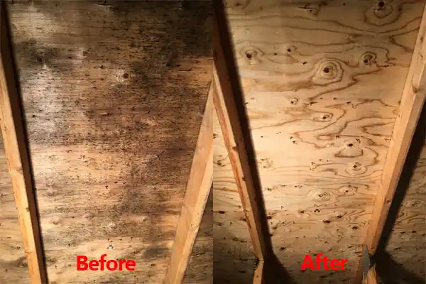 water damage restoration service Shirley